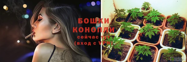 гашик Каменногорск