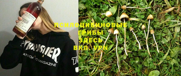 гашик Каменногорск