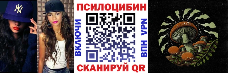 Купить закладки  Нестеров  Галлюциногенные грибы MAGIC MUSHROOMS 