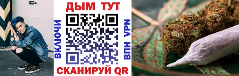 Купить  Нестеров  Канабис сатива 